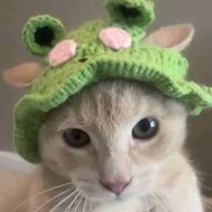 Meet your Posher, Ruby